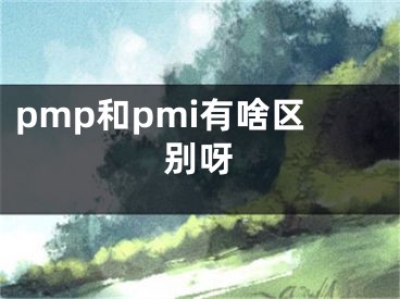 pmp和pmi有啥区别呀