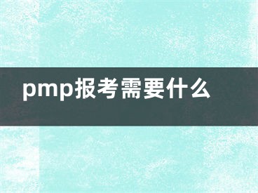 pmp报考需要什么