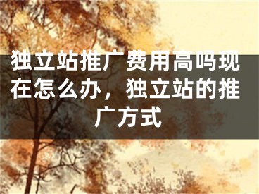 独立站推广费用高吗现在怎么办，独立站的推广方式