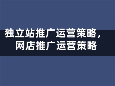 独立站推广运营策略，网店推广运营策略