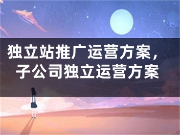 独立站推广运营方案，子公司独立运营方案