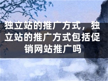 独立站的推广方式，独立站的推广方式包括促销网站推广吗