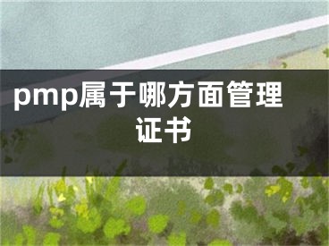 pmp属于哪方面管理证书