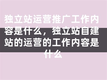 独立站运营推广工作内容是什么，独立站自建站的运营的工作内容是什么