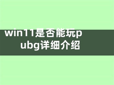 win11是否能玩pubg详细介绍