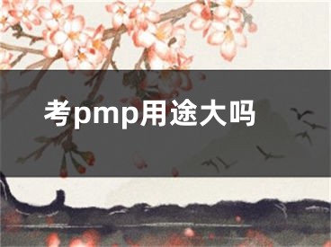 考pmp用途大吗