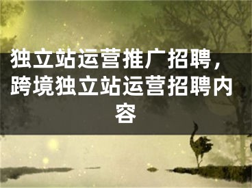 独立站运营推广招聘，跨境独立站运营招聘内容