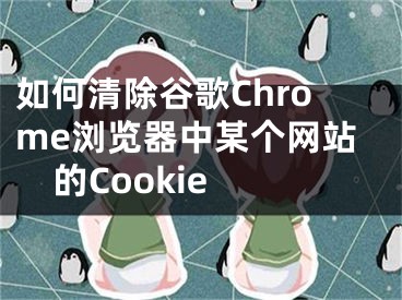 如何清除谷歌Chrome浏览器中某个网站的Cookie 