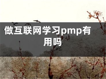 做互联网学习pmp有用吗