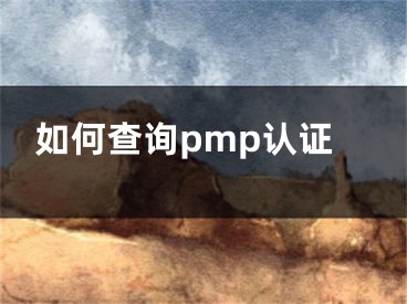 如何查询pmp认证