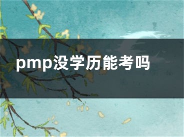 pmp没学历能考吗