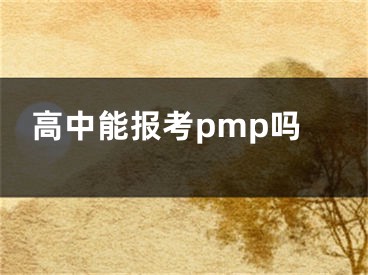 高中能报考pmp吗