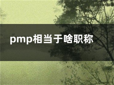 pmp相当于啥职称