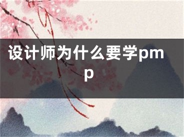 设计师为什么要学pmp