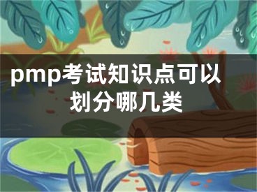 pmp考试知识点可以划分哪几类