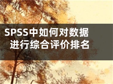 SPSS中如何对数据进行综合评价排名 