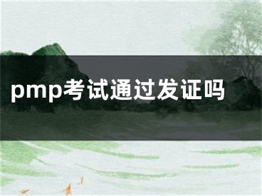 pmp考试通过发证吗