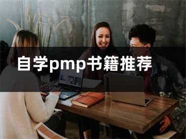 自学pmp书籍推荐