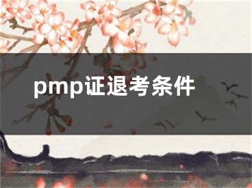 pmp证退考条件