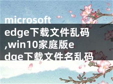 microsoft edge下载文件乱码,win10家庭版edge下载文件名乱码
