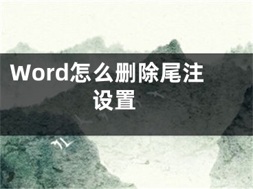 Word怎么删除尾注设置 