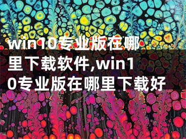 win10专业版在哪里下载软件,win10专业版在哪里下载好