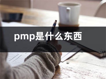 pmp是什么东西