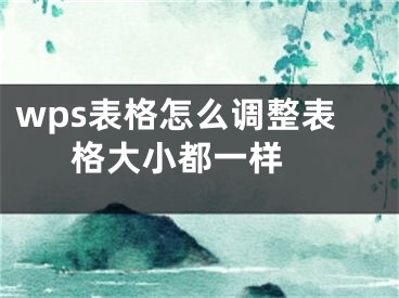 wps表格怎么调整表格大小都一样 