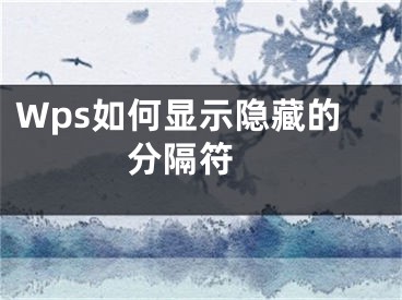 Wps如何显示隐藏的分隔符 