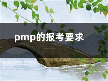 pmp的报考要求