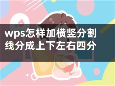 wps怎样加横竖分割线分成上下左右四分 