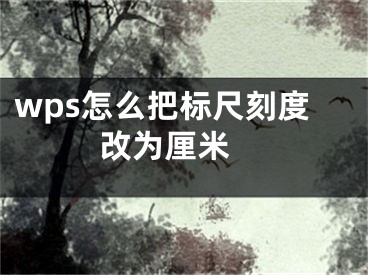 wps怎么把标尺刻度改为厘米  