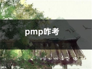 pmp咋考