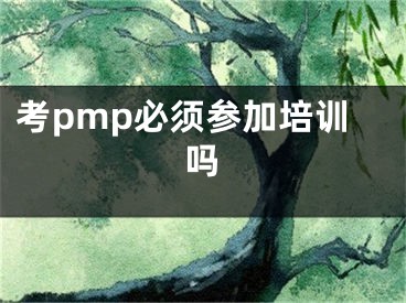 考pmp必须参加培训吗