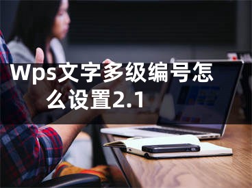 Wps文字多级编号怎么设置2.1 