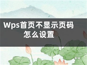 Wps首页不显示页码怎么设置 