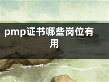 pmp证书哪些岗位有用