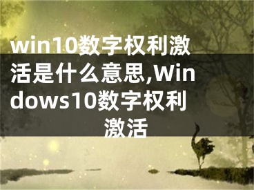 win10数字权利激活是什么意思,Windows10数字权利激活