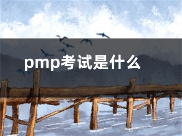 pmp考试是什么