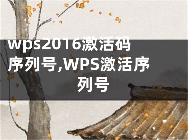 wps2016激活码序列号,WPS激活序列号