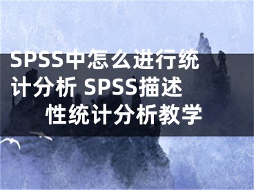 SPSS中怎么进行统计分析 SPSS描述性统计分析教学