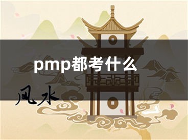 pmp都考什么