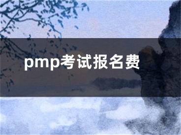 pmp考试报名费