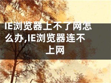 IE浏览器上不了网怎么办,IE浏览器连不上网