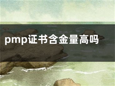 pmp证书含金量高吗