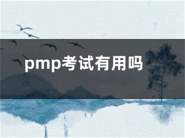 pmp考试有用吗