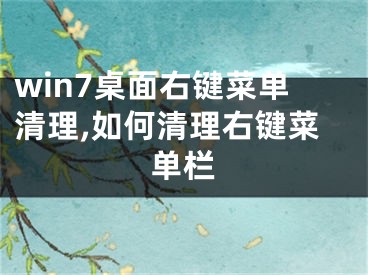 win7桌面右键菜单清理,如何清理右键菜单栏