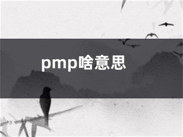 pmp啥意思