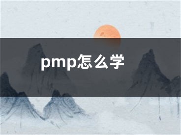 pmp怎么学