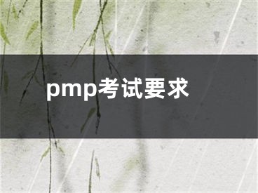 pmp考试要求